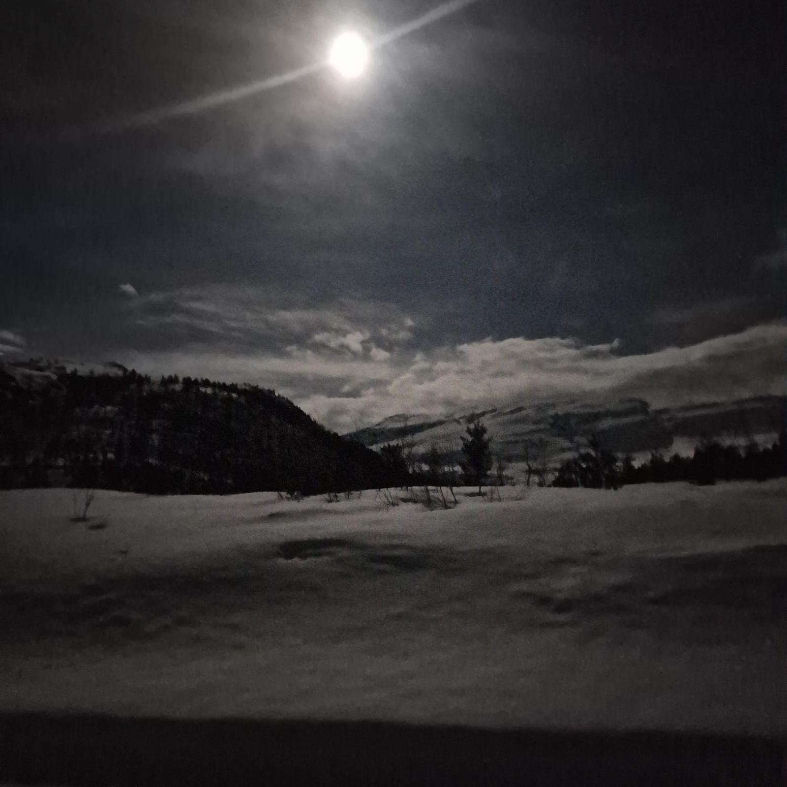 Kvamskogen & Hardanger Holliday Homes Norheimsund Exterior foto